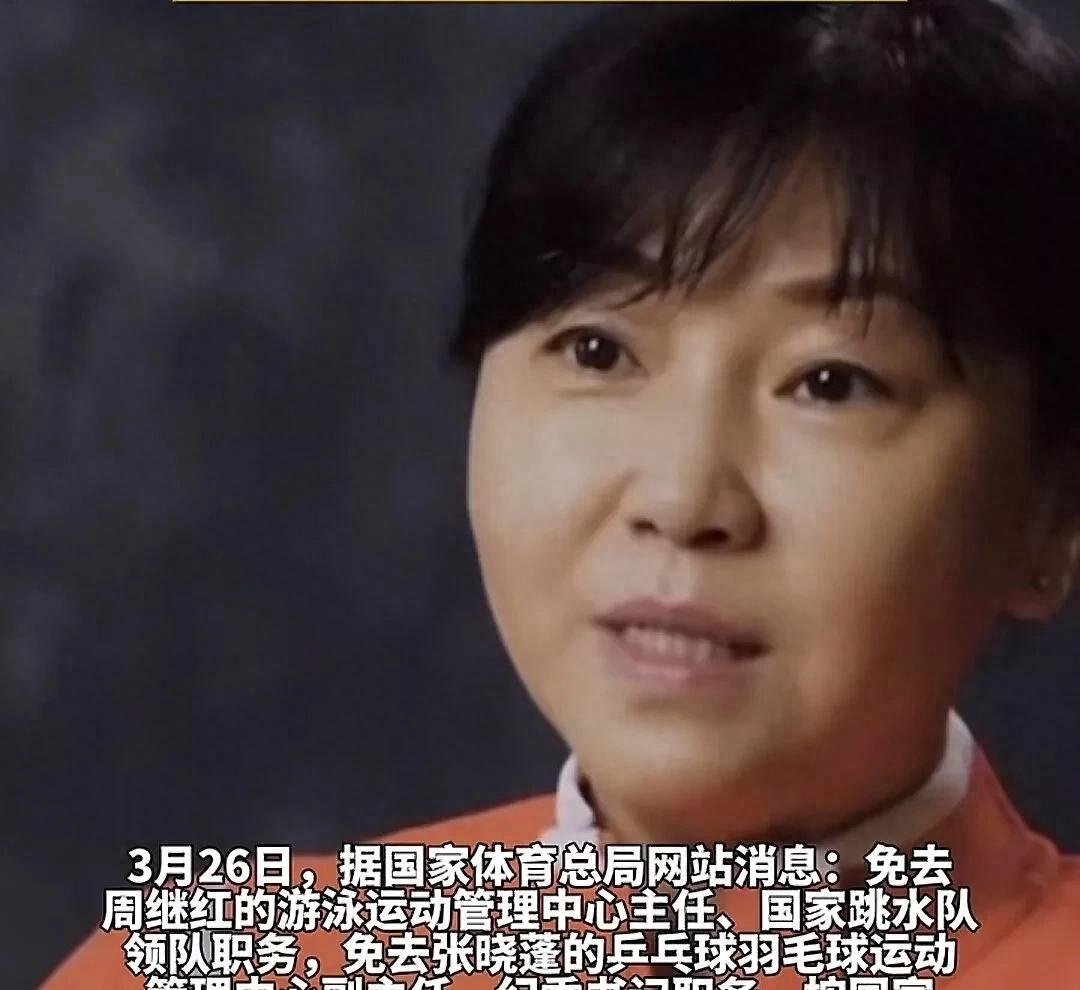 关于备战2028奥运！周继红担任国家跳水队总教练的信息